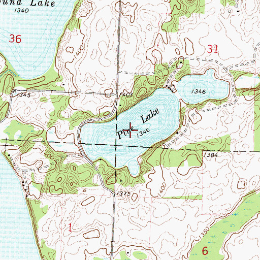 Topographic Map of Pine Lake, MN