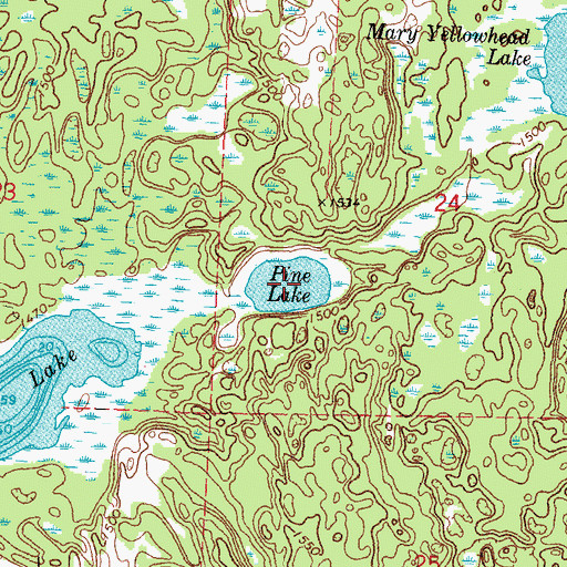 Topographic Map of Pine Lake, MN