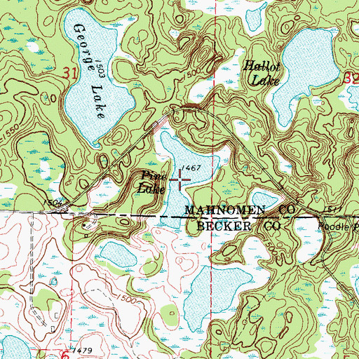 Topographic Map of Pine Lake, MN