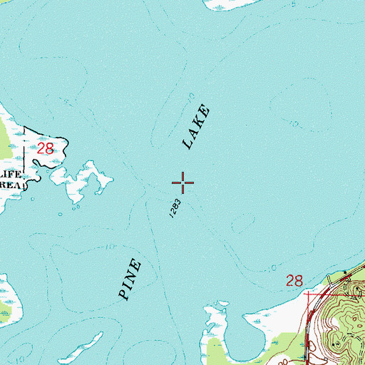 Topographic Map of Pine Lake, MN