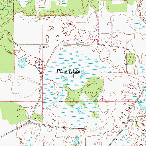 Topographic Map of Pine Lake, MN