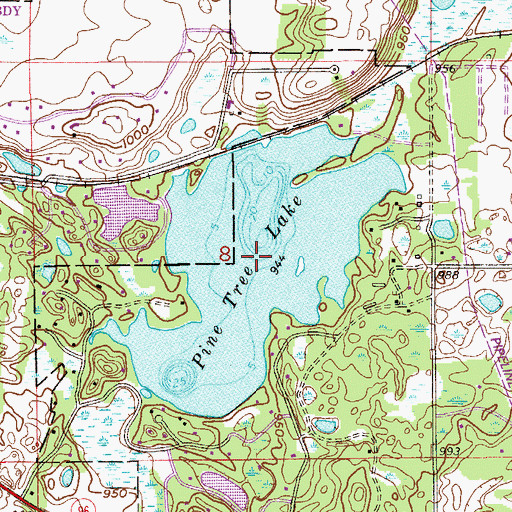 Topographic Map of Pine Tree Lake, MN