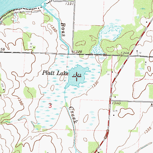 Topographic Map of Platt Lake, MN