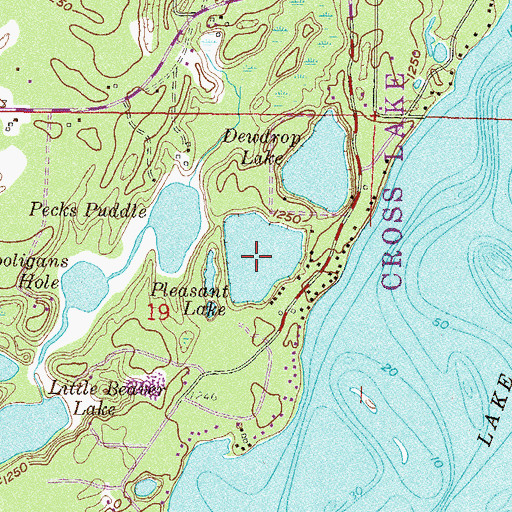 Topographic Map of Pleasant Lake, MN
