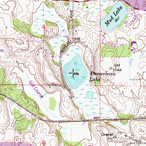 Topographic Map of Pomerleau Lake, MN