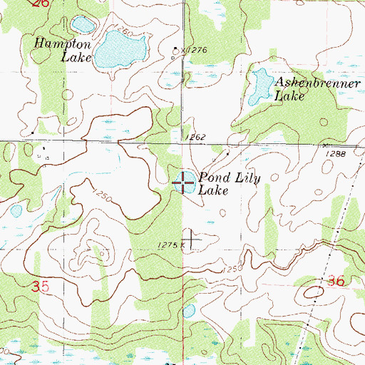 Topographic Map of Pond Lily Lake, MN