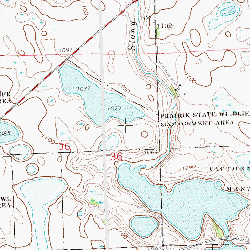 Topographic Map of Prairie State Wildlife Management Area, MN