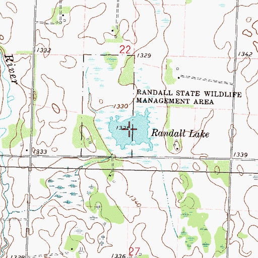 Topographic Map of Randall Lake, MN