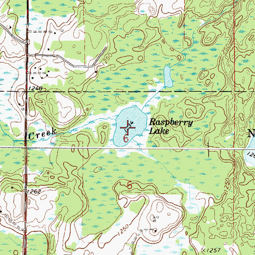 Topographic Map of Raspberry Lake, MN