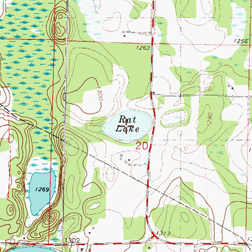 Topographic Map of Rat Lake, MN
