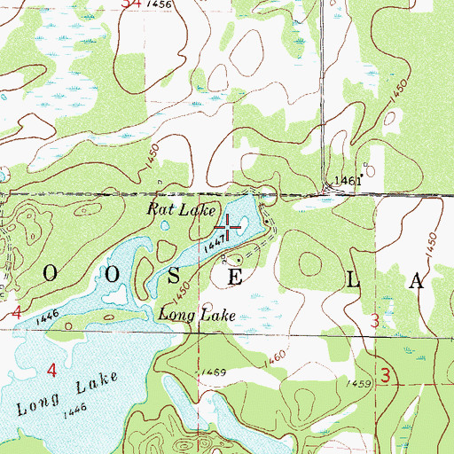 Topographic Map of Rat Lake, MN