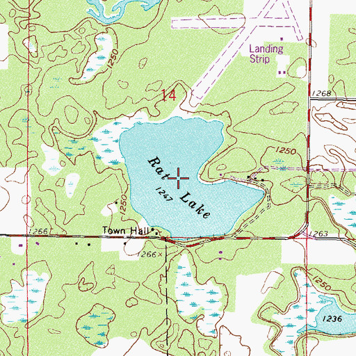 Topographic Map of Rat Lake, MN