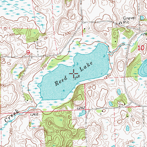 Topographic Map of Reed Lake, MN