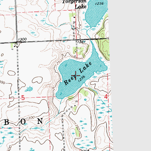 Topographic Map of Reep Lake, MN