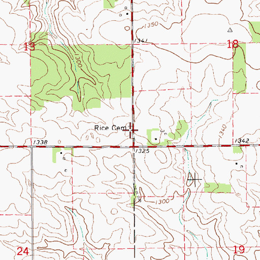 Topographic Map of Rice Cemetery, MN