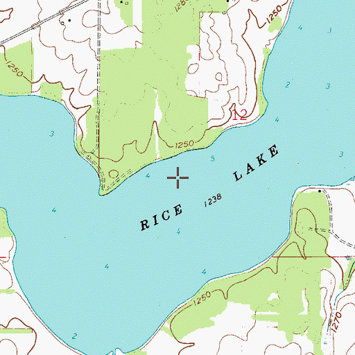 Topographic Map of Rice Lake, MN