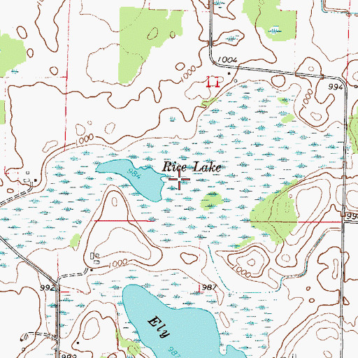 Topographic Map of Rice Lake, MN