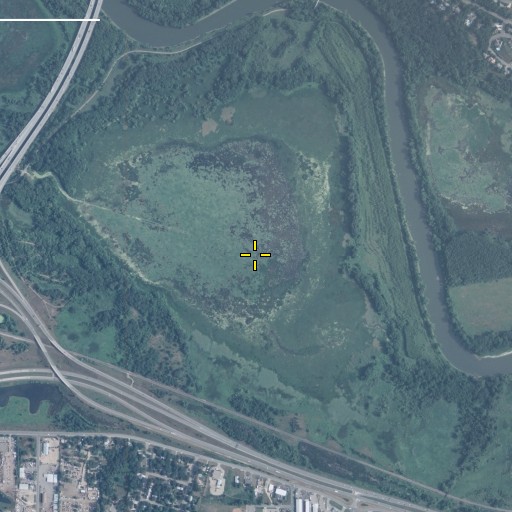 Aerial/Satellite Image of Rice Lake, MN