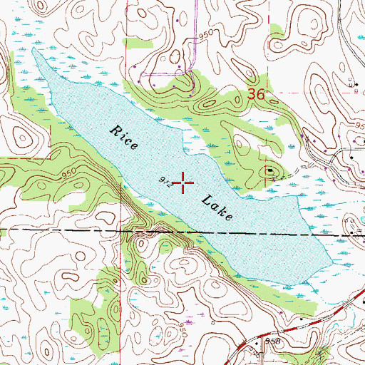 Topographic Map of Rice Lake, MN