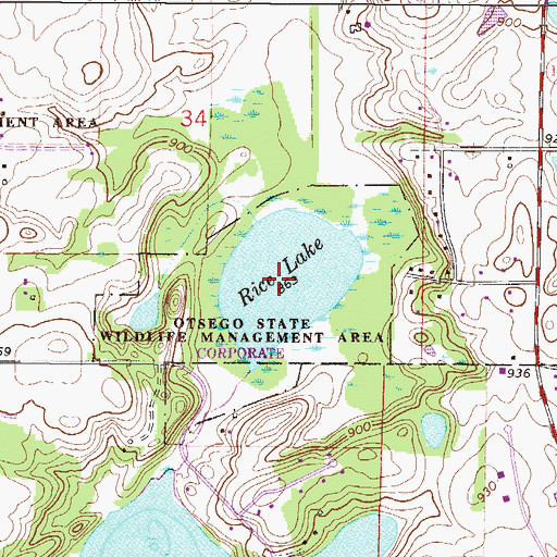 Topographic Map of Rice Lake, MN