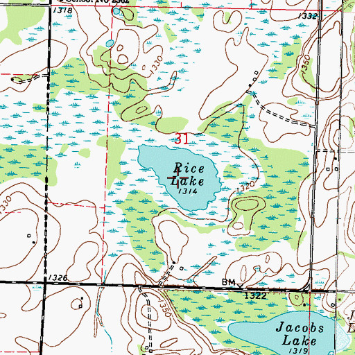 Topographic Map of Rice Lake, MN