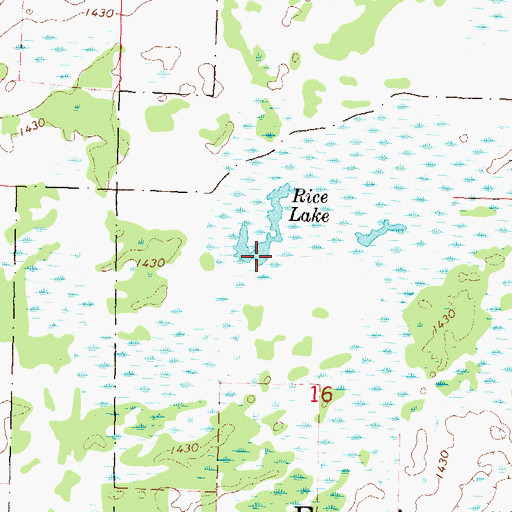 Topographic Map of Rice Lake, MN