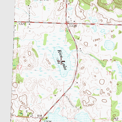 Topographic Map of Rice Lake, MN