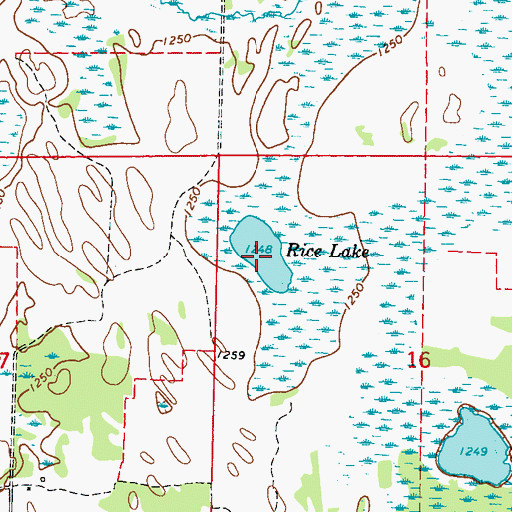 Topographic Map of Rice Lake, MN