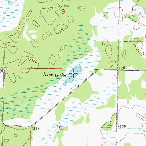 Topographic Map of Rice Lake, MN