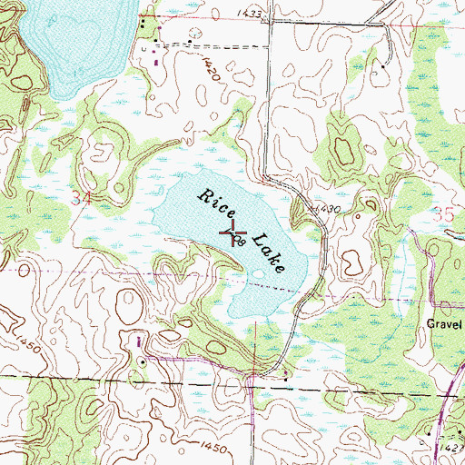 Topographic Map of Rice Lake, MN