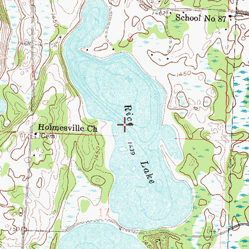 Topographic Map of Rice Lake, MN