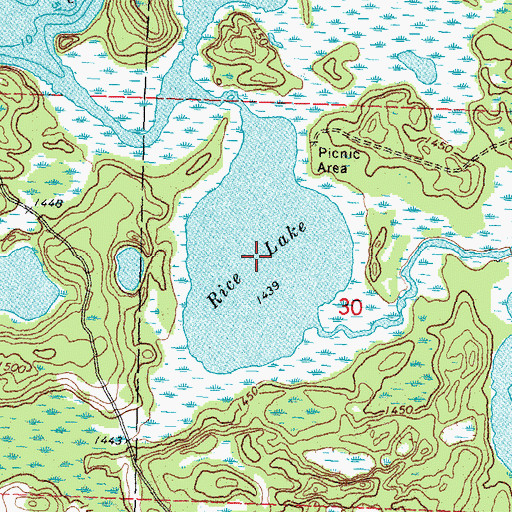 Topographic Map of Rice Lake, MN