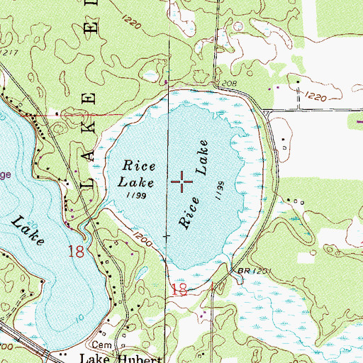 Topographic Map of Rice Lake, MN