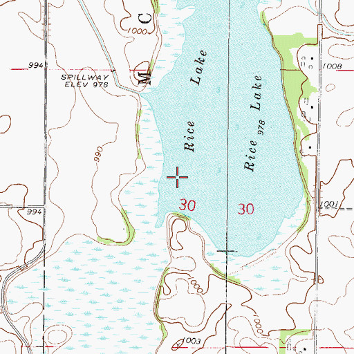 Topographic Map of Rice Lake, MN
