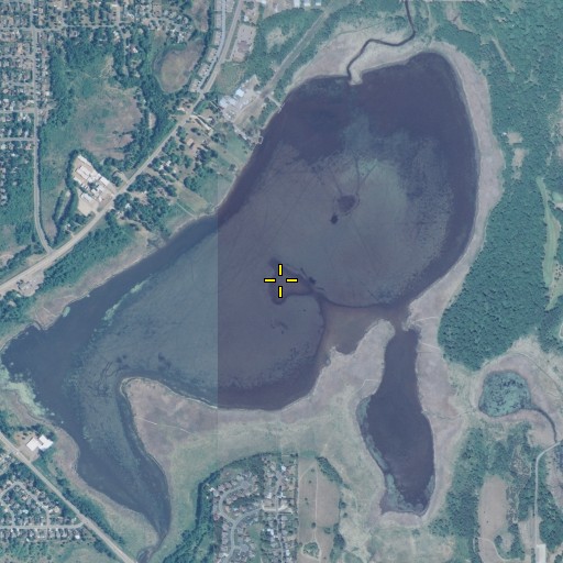 Aerial/Satellite Image of Rice Lake, MN