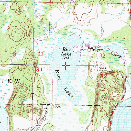 Topographic Map of Rice Lake, MN
