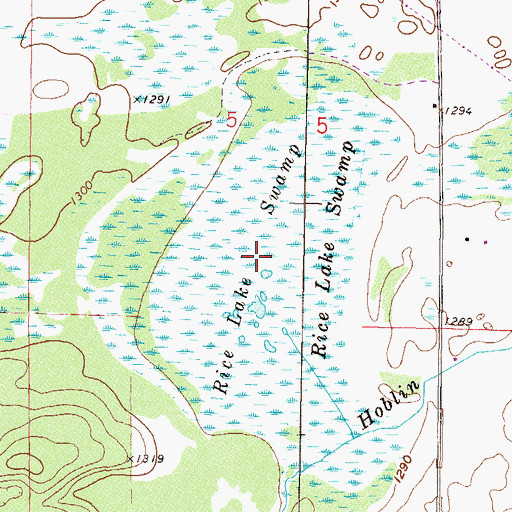 Topographic Map of Rice Lake Swamp, MN