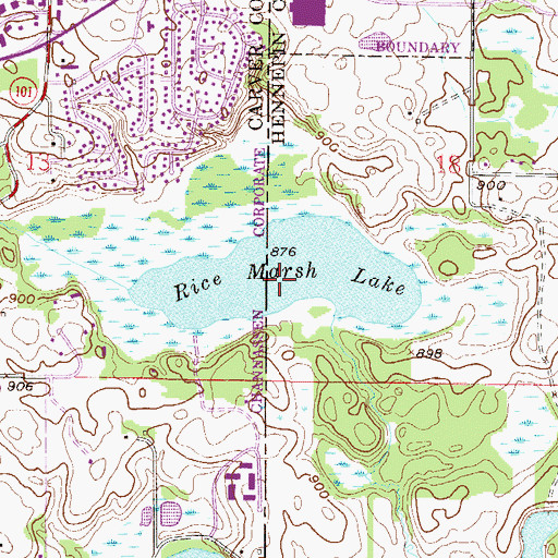 Topographic Map of Rice Marsh Lake, MN
