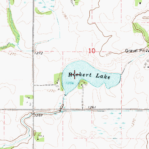 Topographic Map of Rickert Lake, MN
