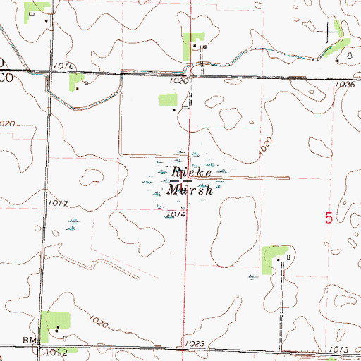 Topographic Map of Rieke Marsh, MN
