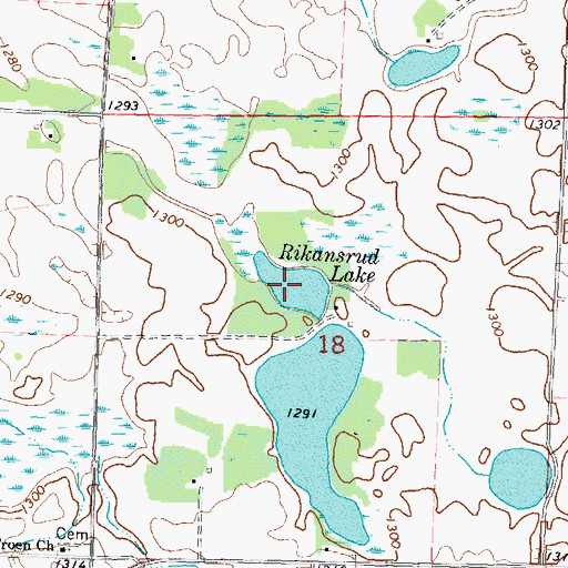 Topographic Map of Rikansrud Lake, MN