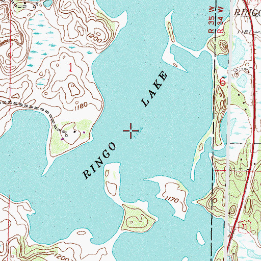 Topographic Map of Ringo Lake, MN