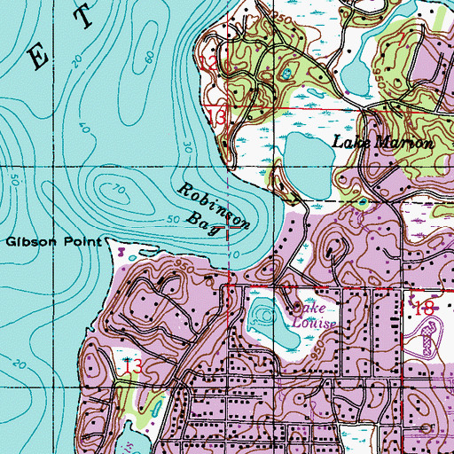 Topographic Map of Robinson Bay, MN