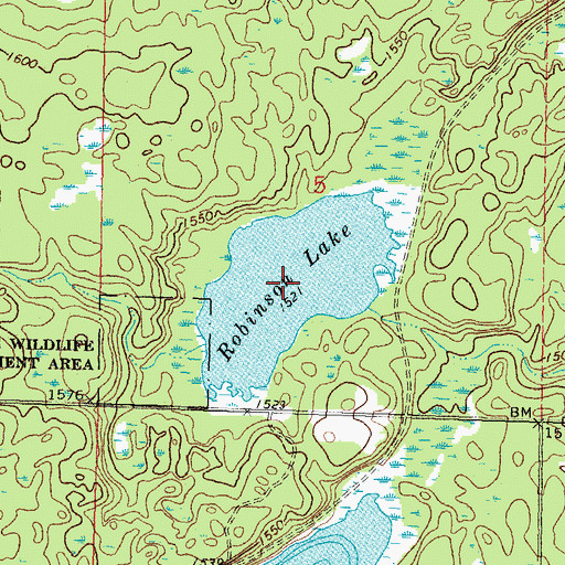 Topographic Map of Robinson Lake, MN