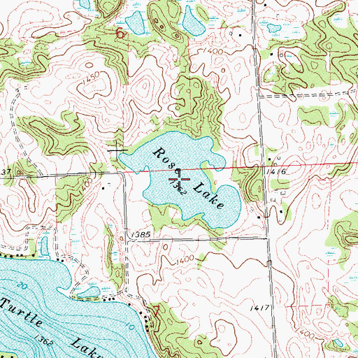 Topographic Map of Rose Lake, MN