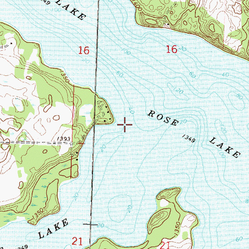 Topographic Map of Rose Lake, MN