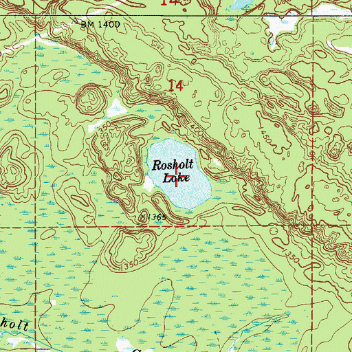 Topographic Map of Rosholt Lake, MN