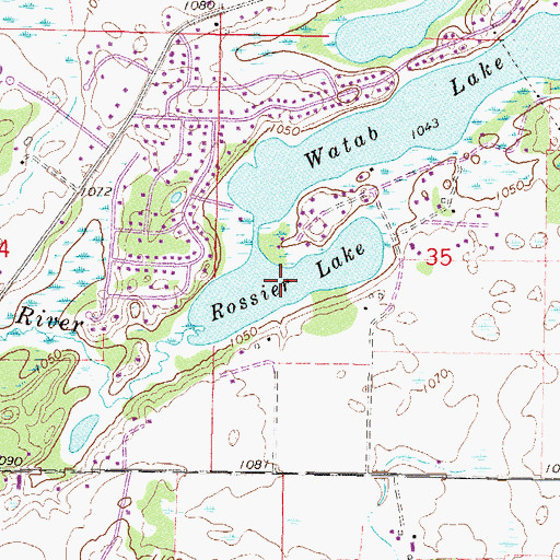 Topographic Map of Rossier Lake, MN