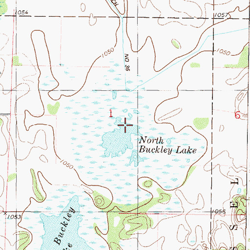 Topographic Map of North Buckley Lake, MN