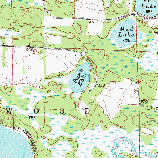 Topographic Map of Ryan Lake, MN